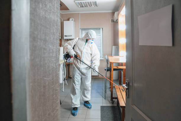 Best Asbestos and Lead Testing During Mold Inspection  in Mount Ida, AR